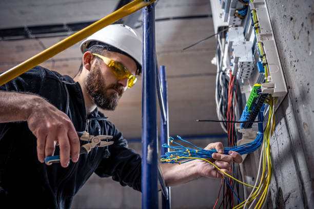 Best Electric Panel Repair  in Mauriceville, TX